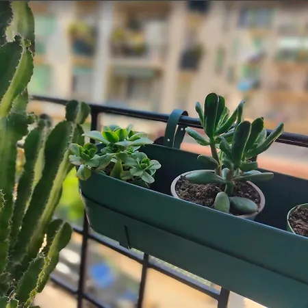 Apartment 26 Libay *