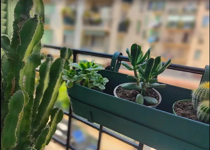 Appartement 26 Libay *